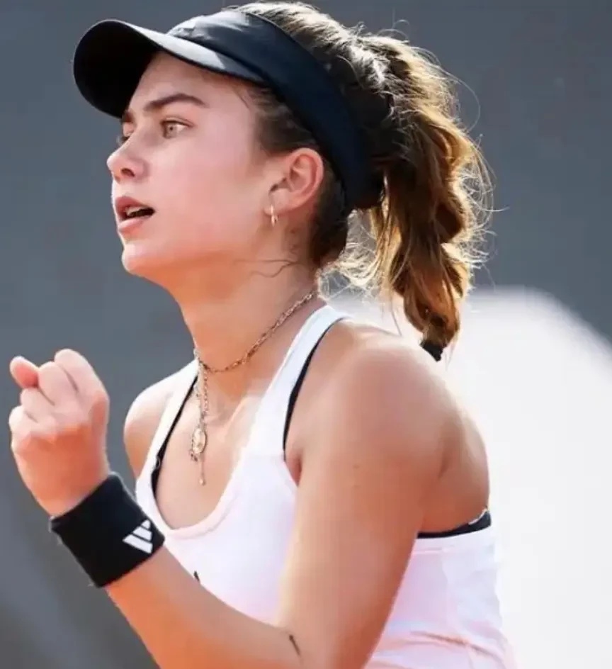 埋下伏笔 埋下伏笔