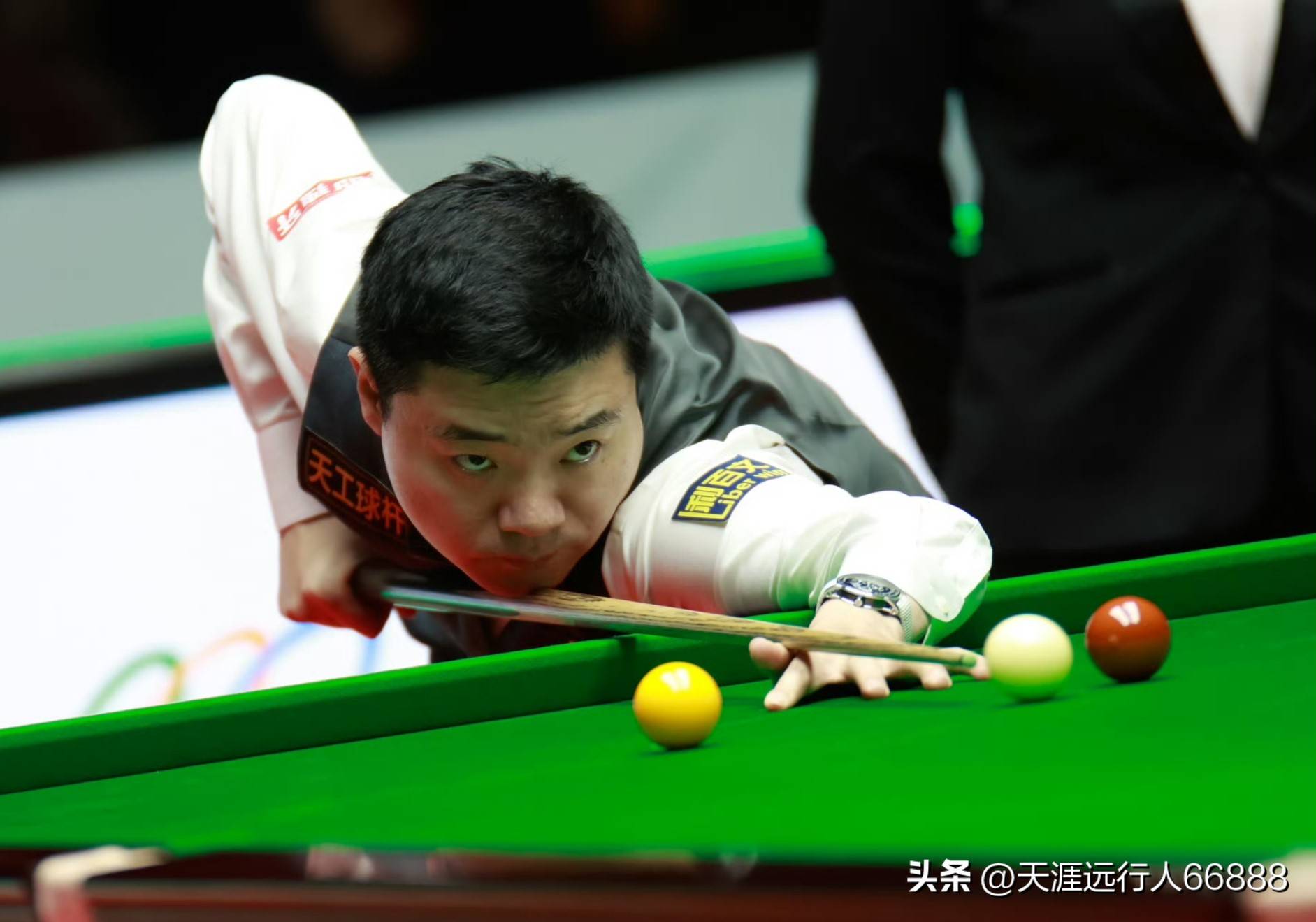 利用范迪克 利用范迪克