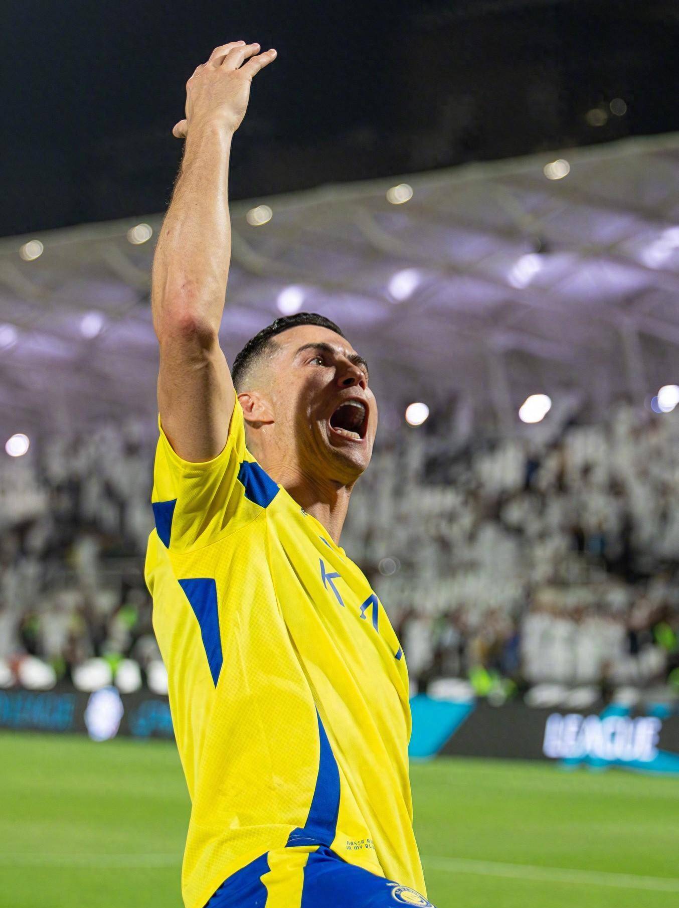 给出了预测 给出了预测