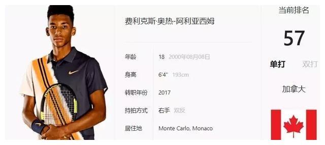 的洞察能力 的洞察能力